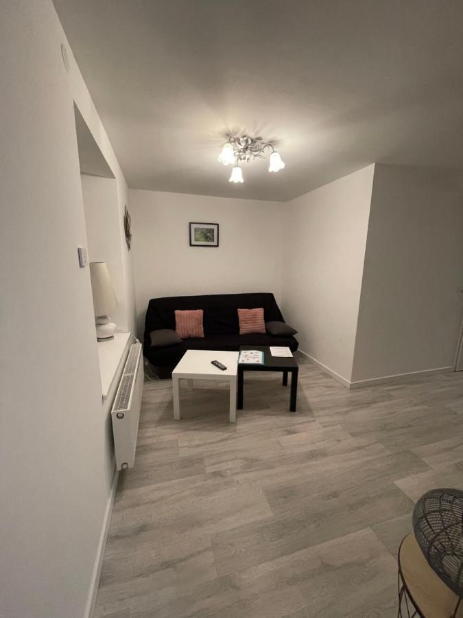 Au Coeur Des Vosges Apartment Saint-Etienne-les-Remiremont ภายนอก รูปภาพ